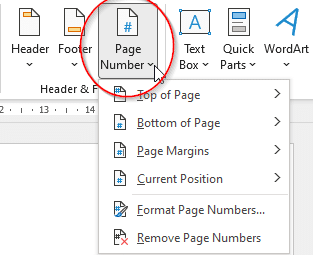 Sub-menu for customizing page numbers in Word.