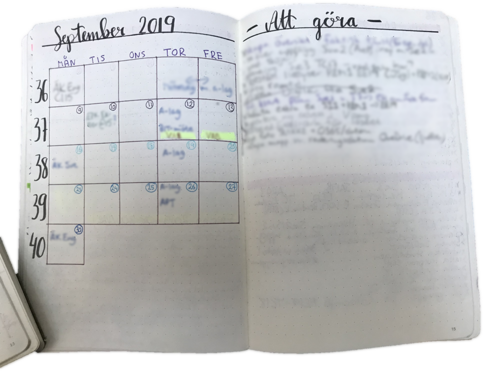 Image of a monthly spread in a journal