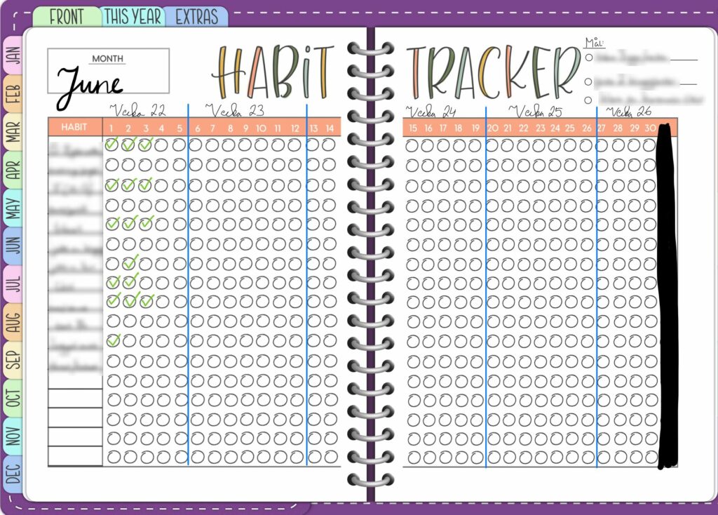 Example of habit tracker in a digital planner