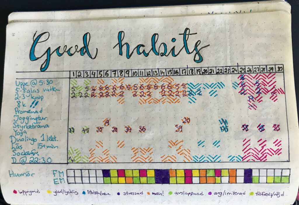 Example of a habit tracker in a notebook