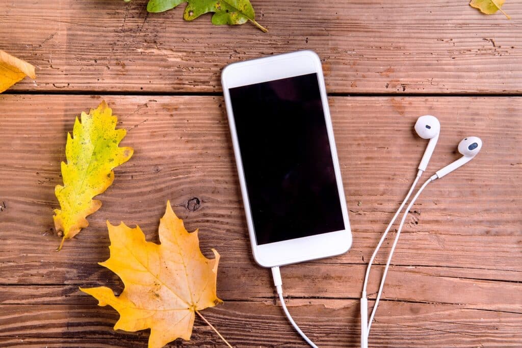 Image showing a cell phone with head phones on a wooden surface. There are some yellow leaves in the picture.